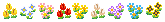 a divider of flowers